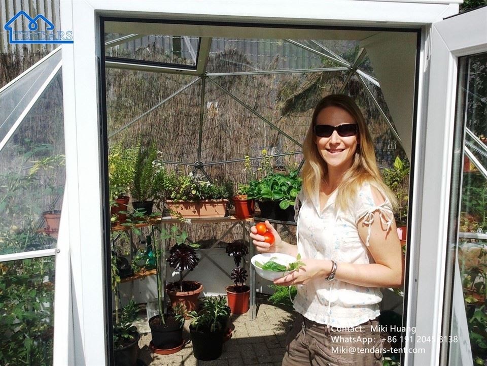 Greenhouse Geodesic Dome Tent Greenhouse Geodesic Dome Tent