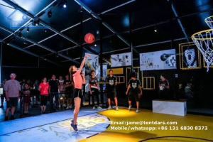 Cort de curte pentru baschet